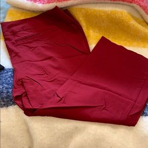 Maroon Bootcut dress pants